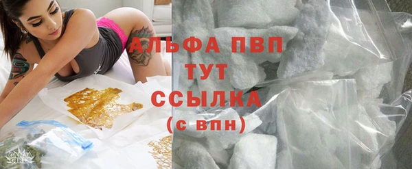 молекула духа Богородск