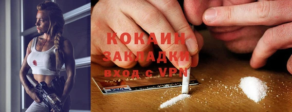 хмурый Богородицк