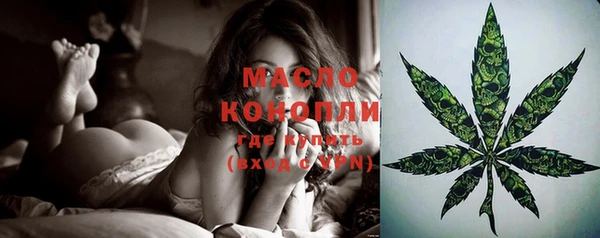 молекула духа Богородск