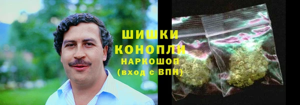 молекула духа Богородск
