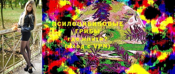 хмурый Богородицк