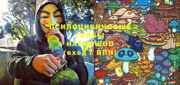 молекула духа Богородск