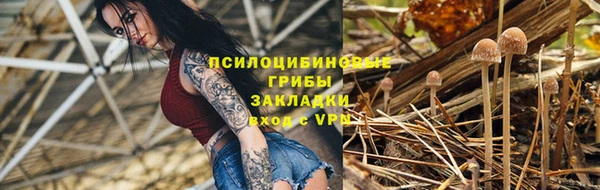 молекула духа Богородск