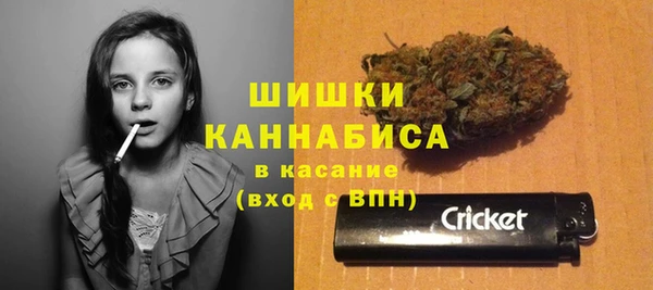 хмурый Богородицк