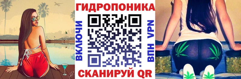 blacksprut зеркало Далматово маркетплейс наркотические препараты Шишки марихуана OG Kush